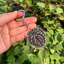 Load image into Gallery viewer, 1 pcs Tropical Plant key chain / Realistic leaf Acrylic Key Chain (sell by code)