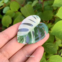 Load image into Gallery viewer, Realistic Variegated Monstera Albo (Coaster, Phone Grip, Retractable Badge Reel, Keychain, Magnet)