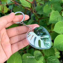 Load image into Gallery viewer, Realistic Variegated Monstera Albo (Coaster, Phone Grip, Retractable Badge Reel, Keychain, Magnet)