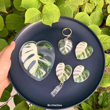 Load image into Gallery viewer, Realistic Variegated Monstera Albo (Coaster, Phone Grip, Retractable Badge Reel, Keychain, Magnet)
