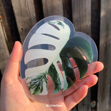 Load image into Gallery viewer, Realistic Variegated Monstera Albo (Coaster, Phone Grip, Retractable Badge Reel, Keychain, Magnet)