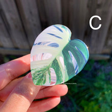 Load image into Gallery viewer, 1 pcs Tropical Plant Phone Grip / Realistic leaf Acrylic Switchble Phone stand (sell by code)