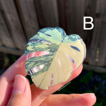 Load image into Gallery viewer, 1 pcs Tropical Plant Phone Grip / Realistic leaf Acrylic Switchble Phone stand (sell by code)