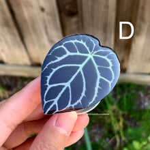 Load image into Gallery viewer, 1 pcs Tropical Plant Phone Grip / Realistic leaf Acrylic Switchble Phone stand (sell by code)