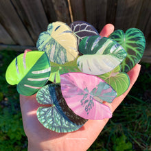 Load image into Gallery viewer, 1 pcs Tropical Plant Phone Grip / Realistic leaf Acrylic Switchble Phone stand (sell by code)