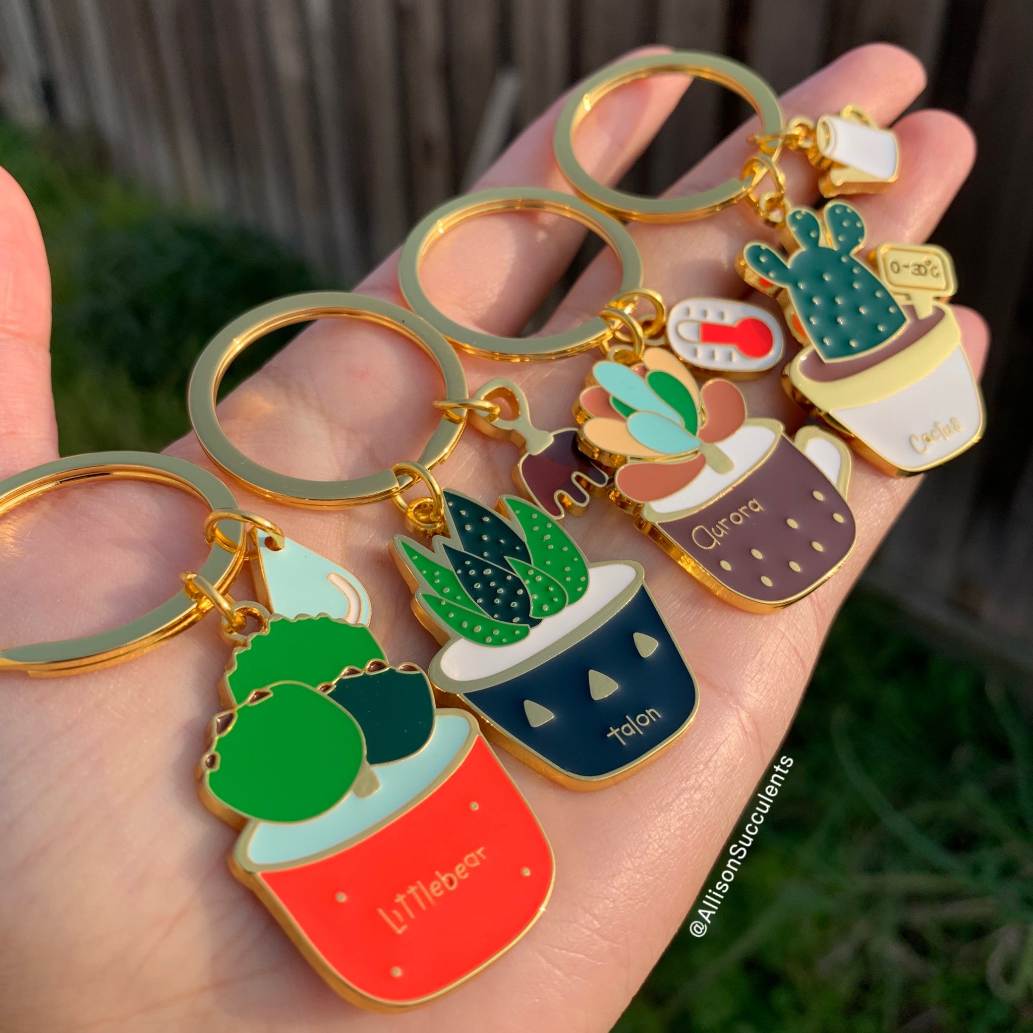 1 PCS Cute Alloy “Bear's Paw/ Jelly Bean/ Haworthia reinwardtii