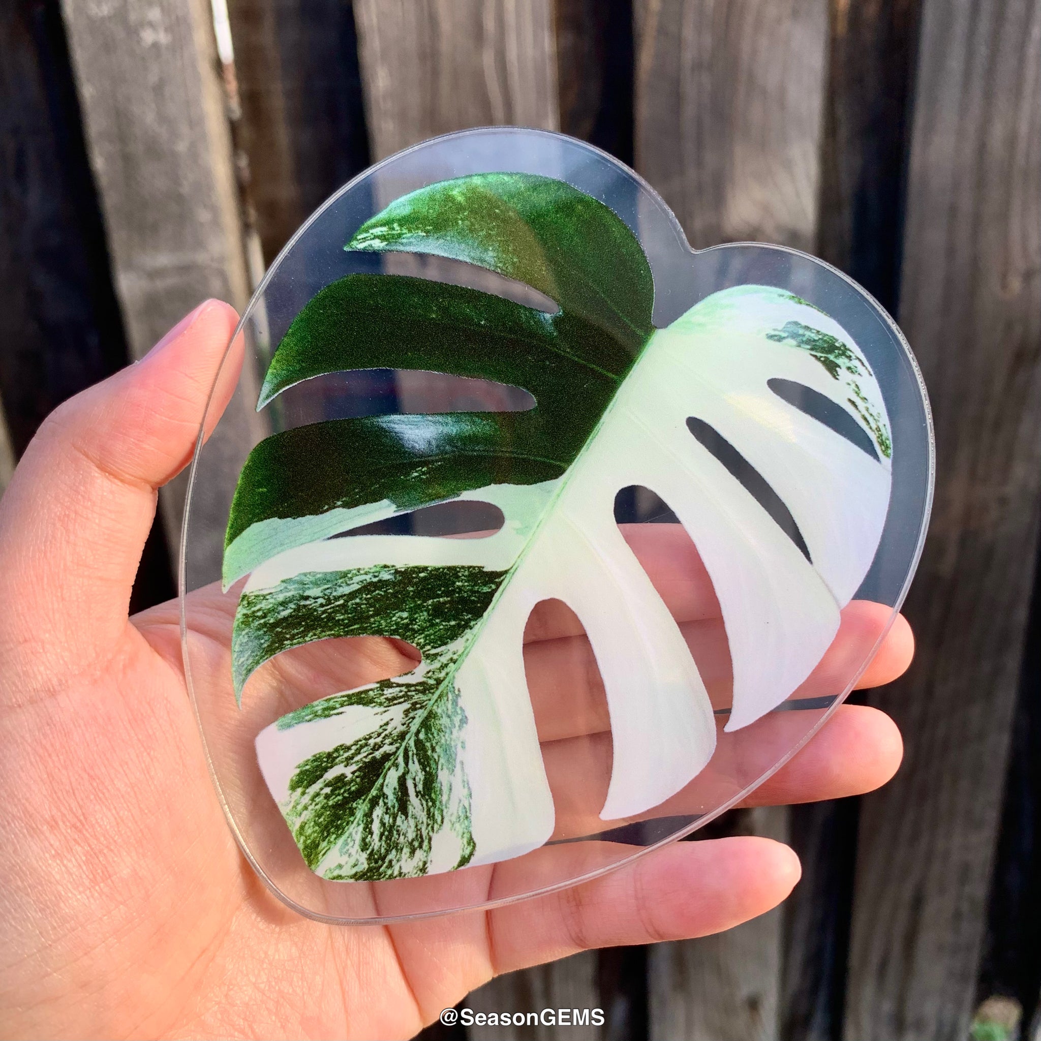 monstera leaf coaster Realistic Monstera leaf Coaster | Tropical Plant Coaster