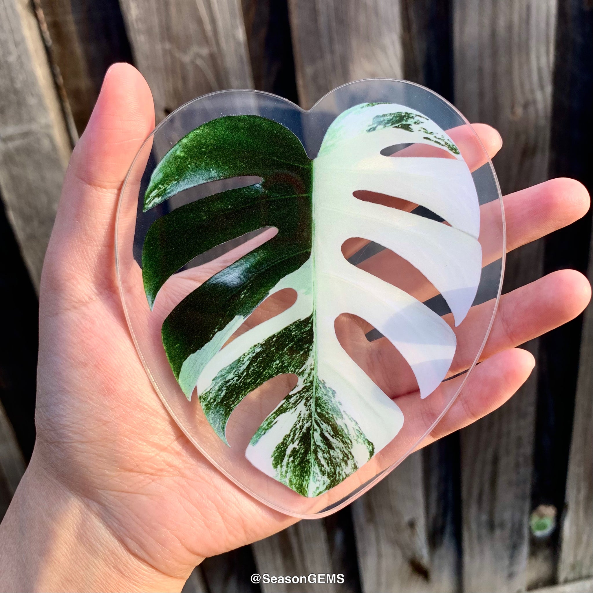 plastic plant coaster Realistic Monstera leaf Coaster | Tropical Plant Coaster