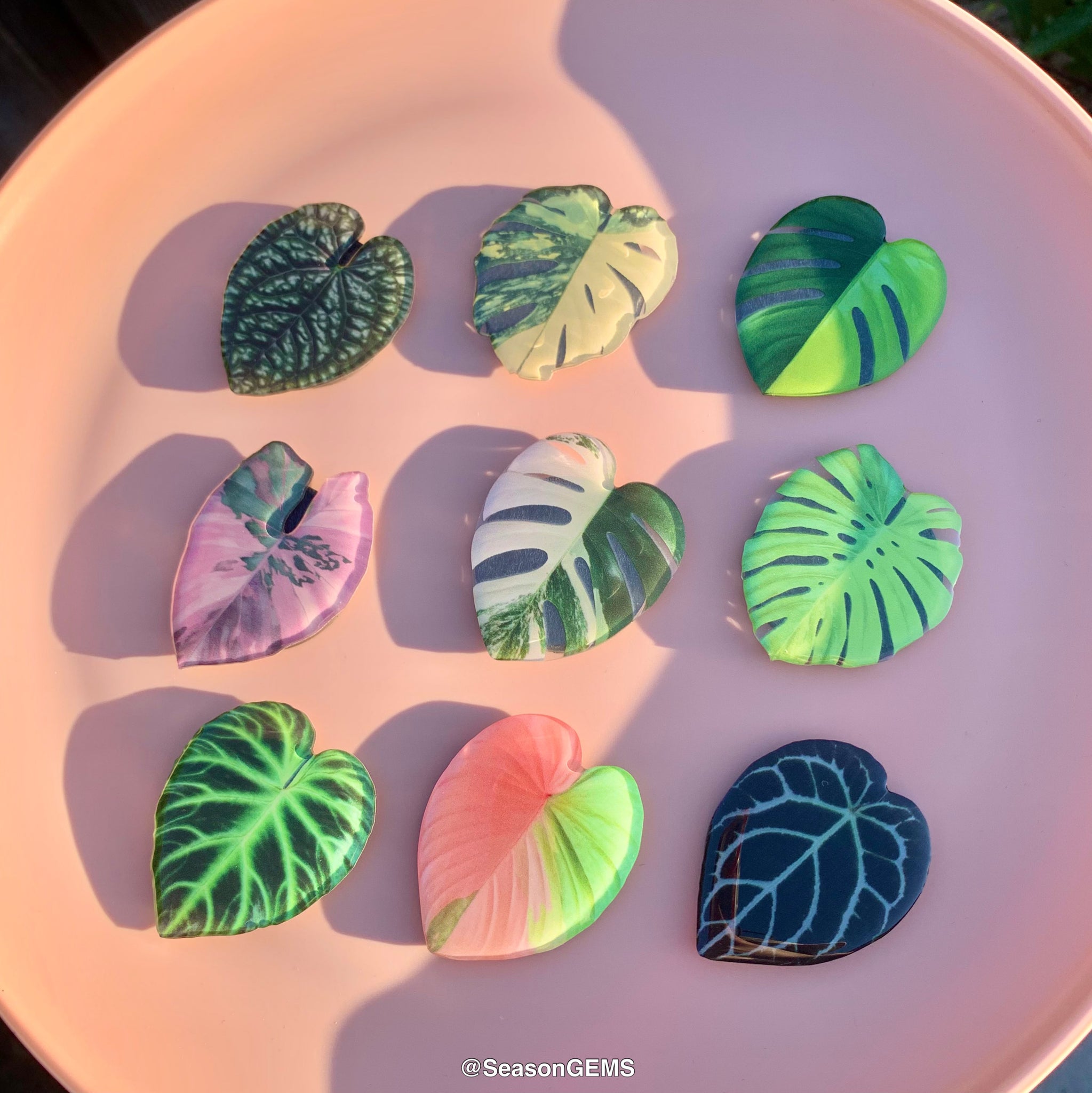 succulent refrigerator magnets 1pcs Tropical Plant Fridge Magnet