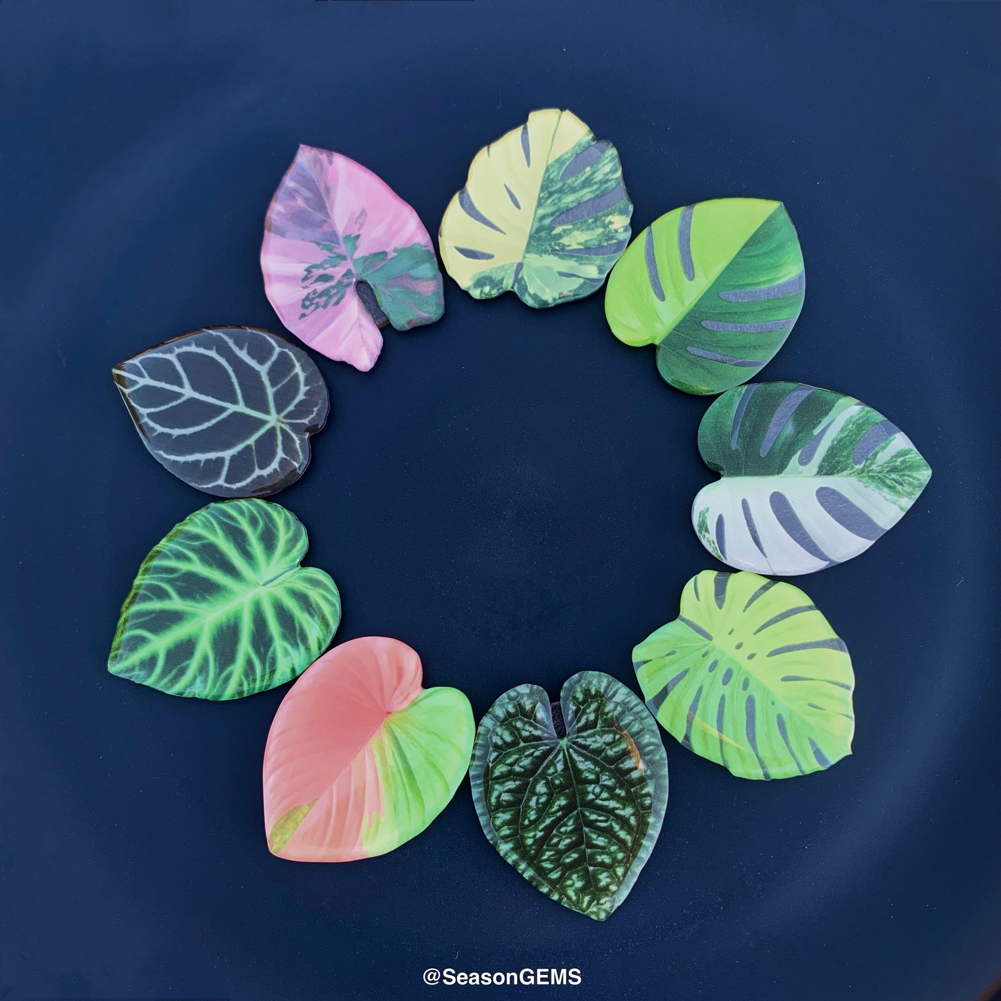 succulent refrigerator magnets 1pcs Tropical Plant Fridge Magnet