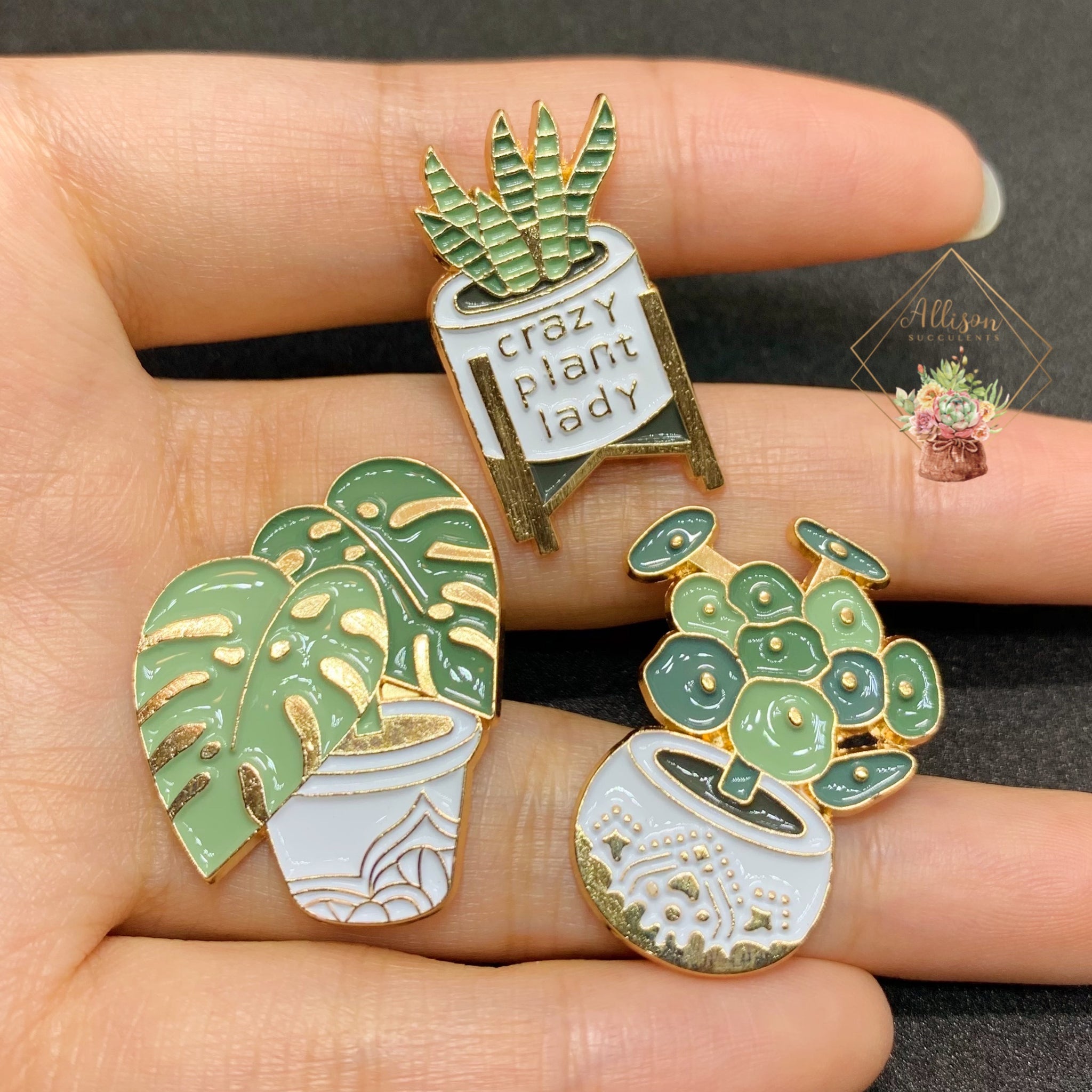 succulent lapel pin 1 pcs Pilea peperomioides Pin/ Monstera Pin/ Crazy Plant Lady Pin – Allison  Succulents