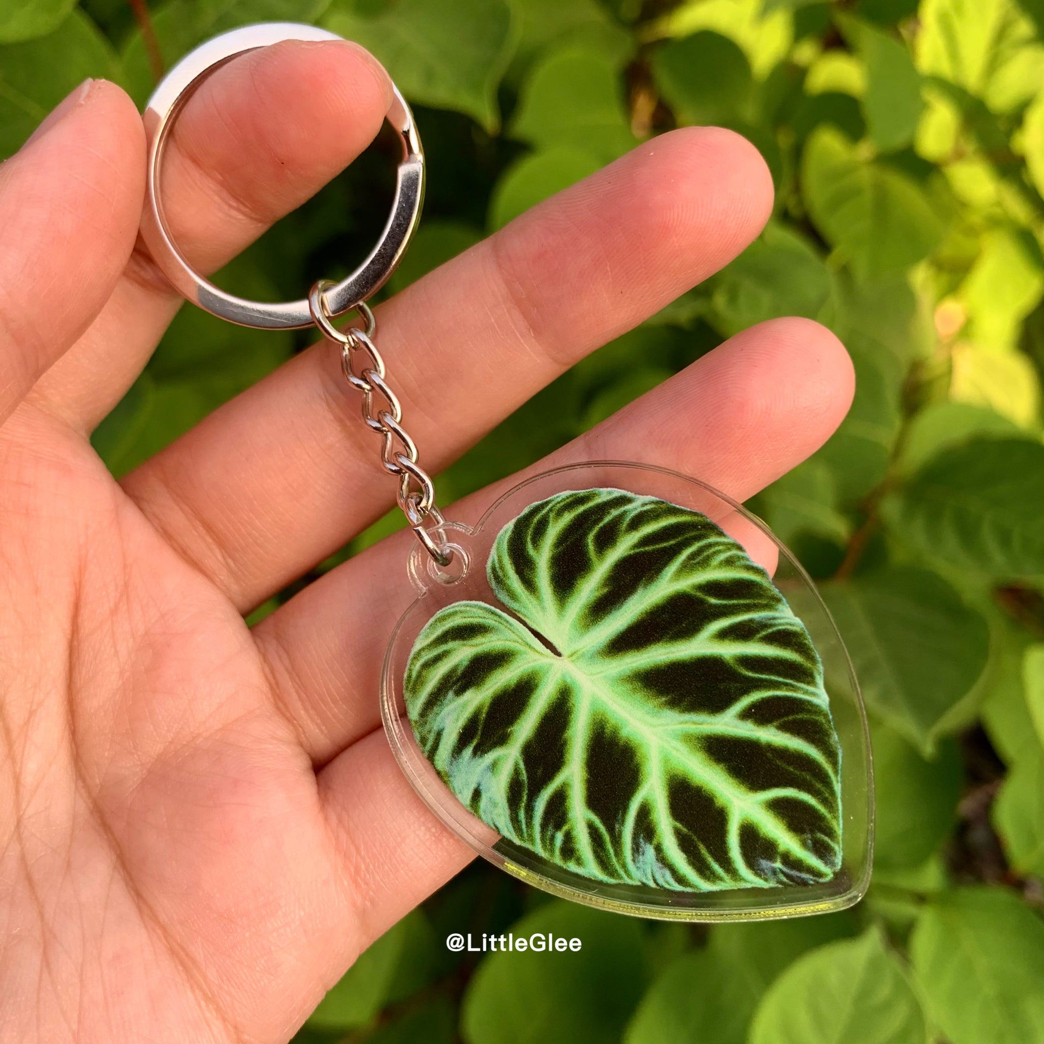 money plant key ring 1 pcs Tropical Plant key chain / Realistic leaf Acrylic Key Chain (sell by code)