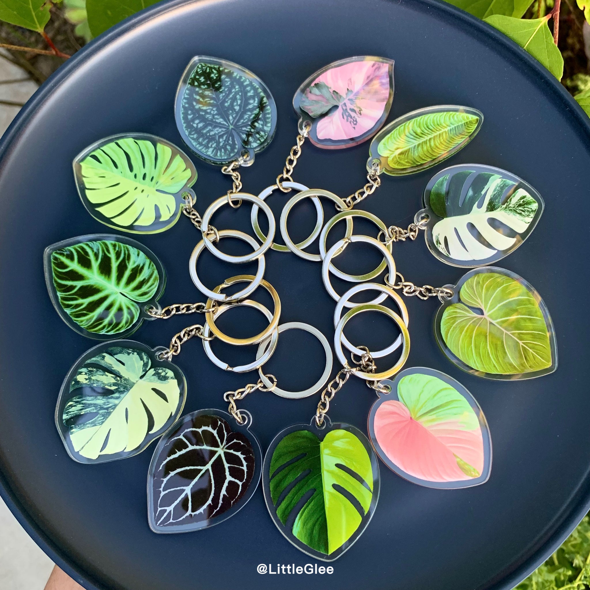 money plant key ring 1 pcs Tropical Plant key chain / Realistic leaf Acrylic Key Chain (sell by code)