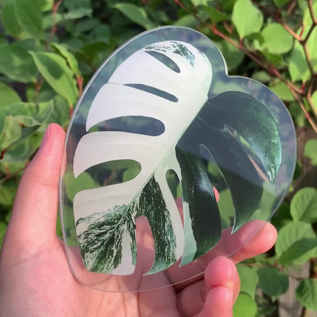 Realistic Monstera leaf Coaster, Tropical Plant Coaster